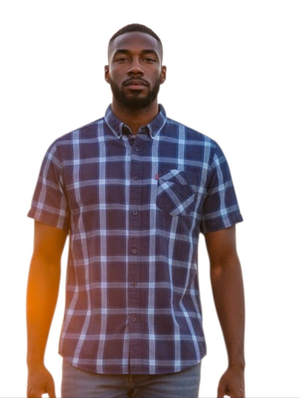 Levi's Men's Blue Plaid Short Sleeve Button-Down Shirt - Size L Iconic Blue